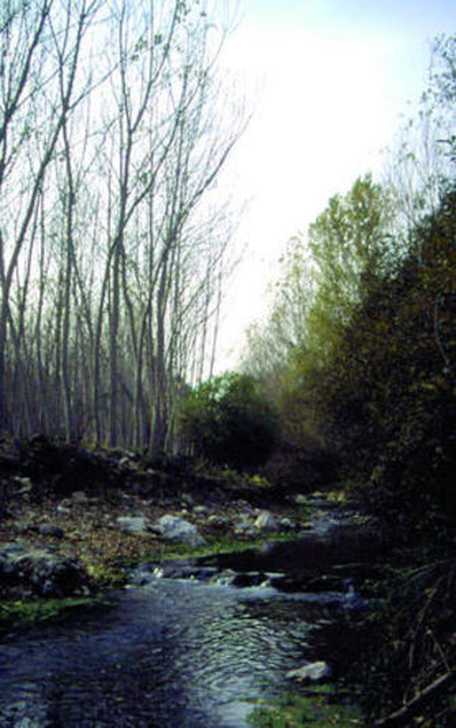 Paisaje y patrimonio cultural Fiestas y tradiciones de Fondón