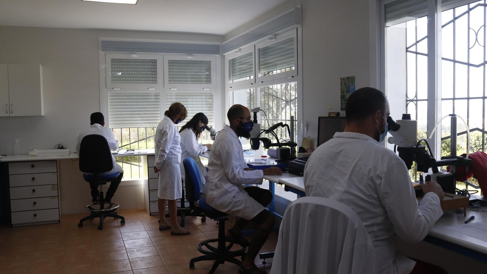 Uno de los laboratorios ocupados por científicos del CSIC y la UMA.