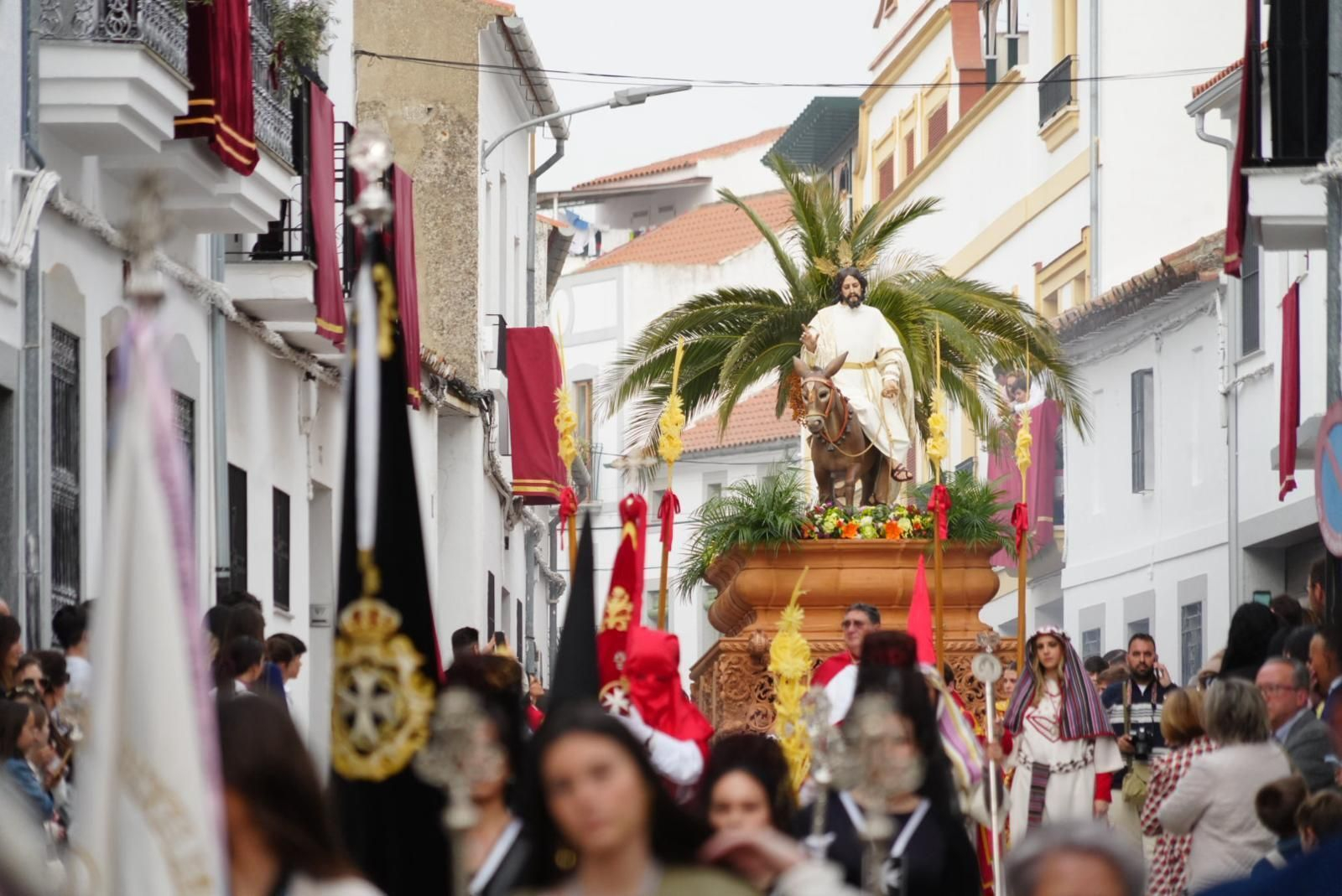 POZOBLANCO El Domingo de Ramos en los pueblos de Córdoba, en imágenes
