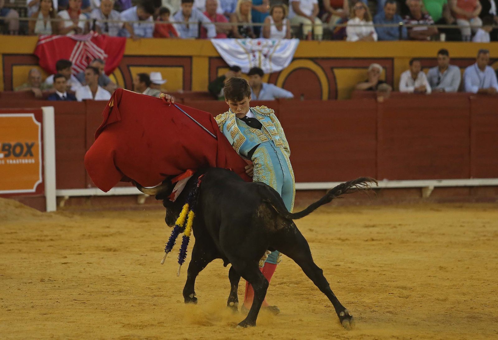 La novillada de Miguelín que abre la feria de Algeciras, en imágenes