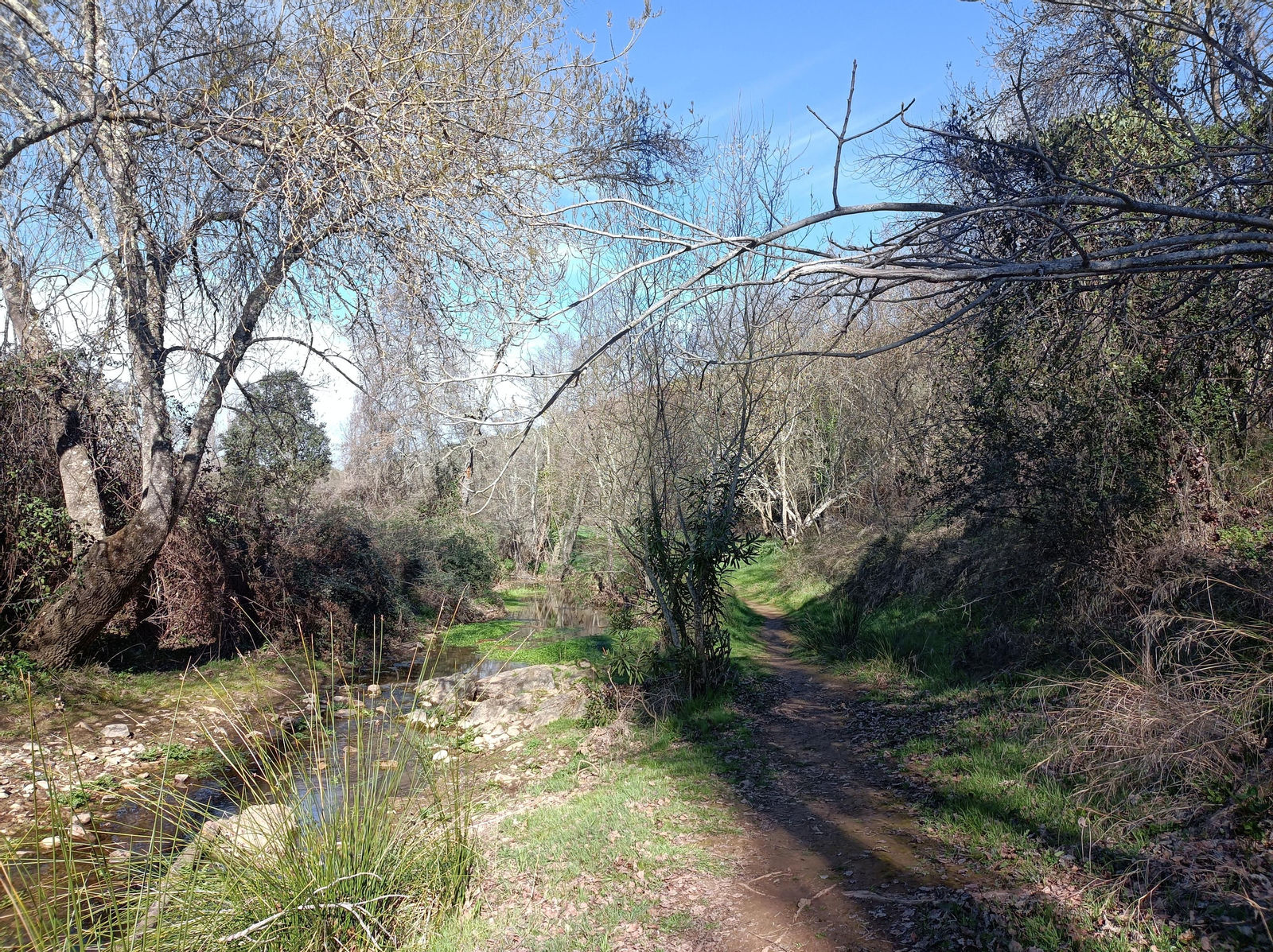 Las fotos de la circular de los Molinos del Ciudadeja