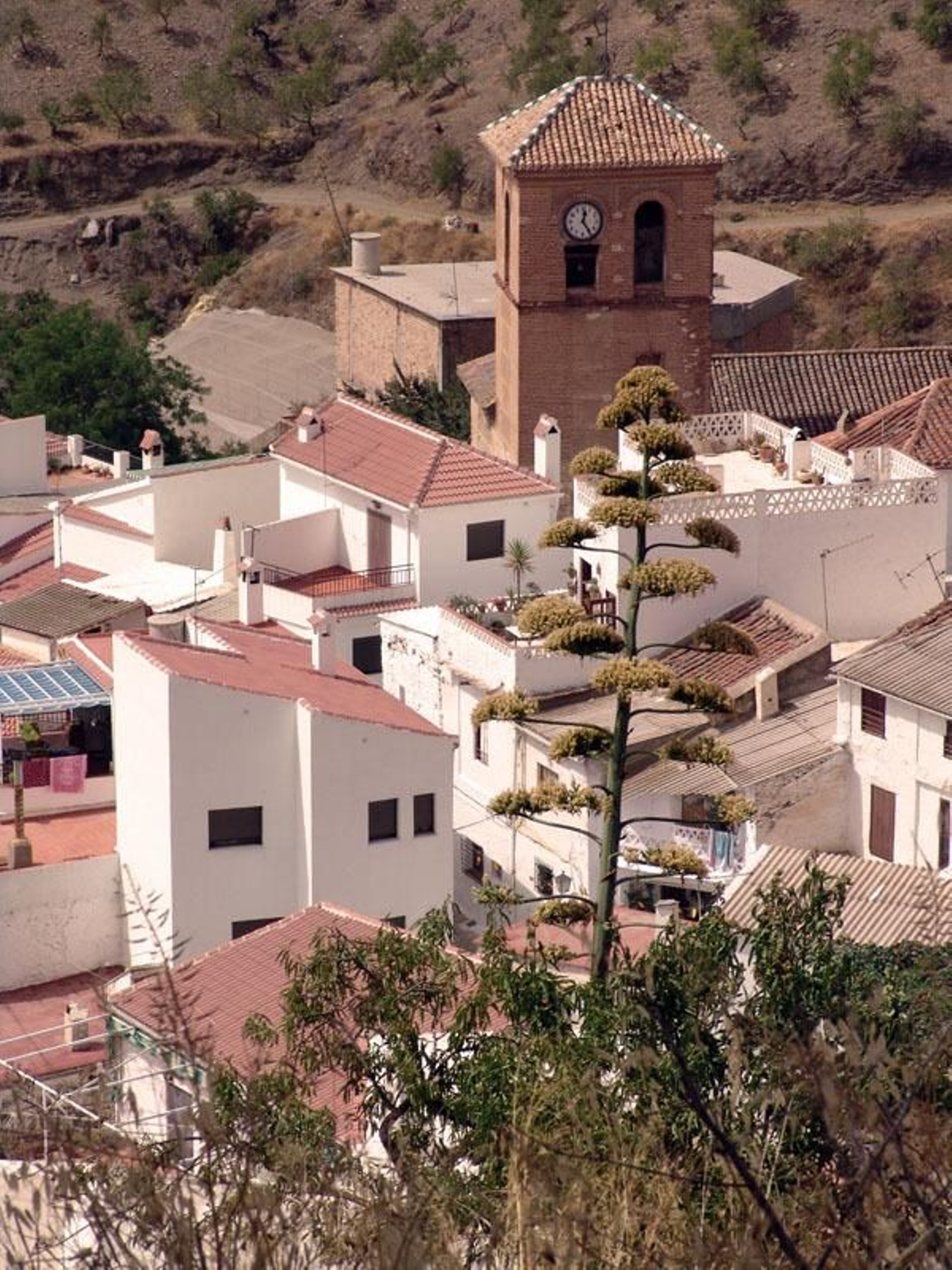 El pueblo de Sorvilán, en la Alpujarra