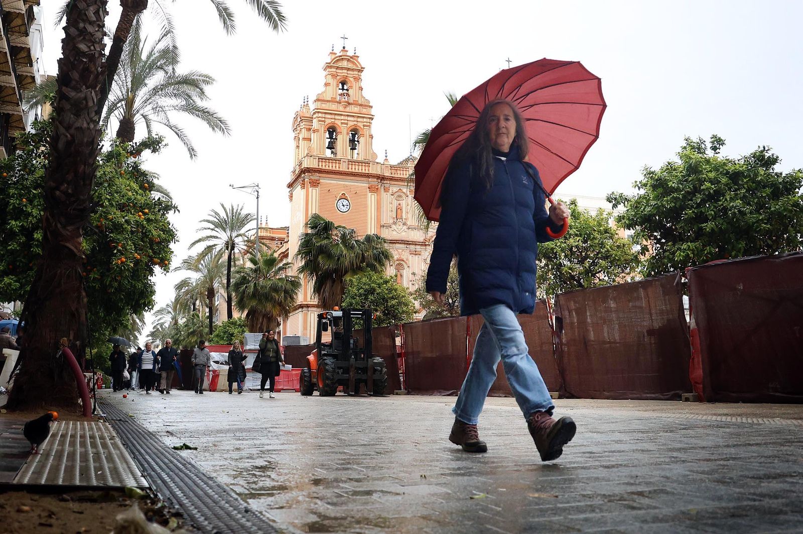 Imágenes del jueves 7 de marzo en Huelva