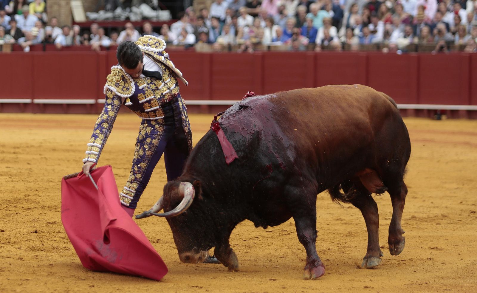 Las imágenes de la duodécima de abono de la Maestranza