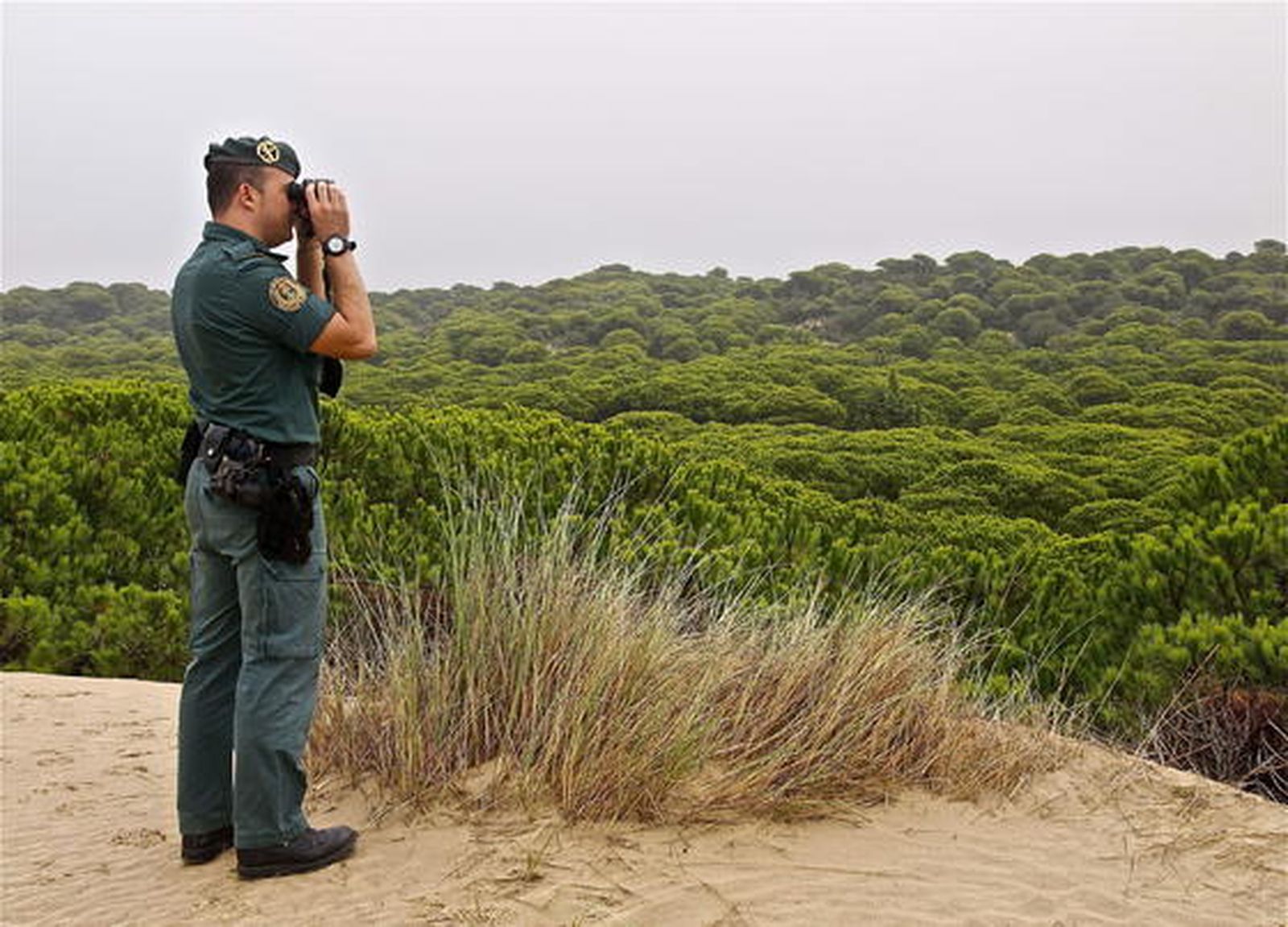 Los guardianes de Doñana