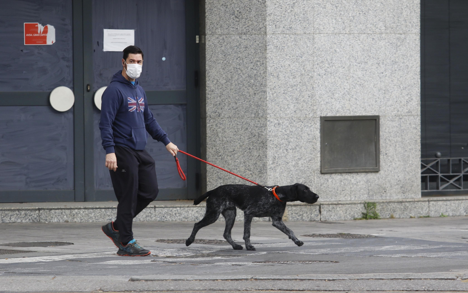 Un joven pasea con su perro por una calle de Córdoba. Un joven pasea con su perro por una calle de Córdoba.