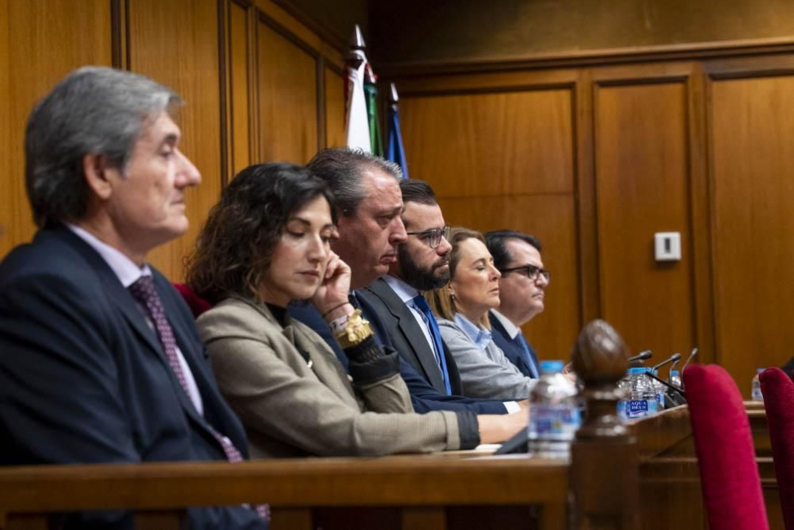 Las imágenes del primer pleno en Diputación sin Javier Aureliano García