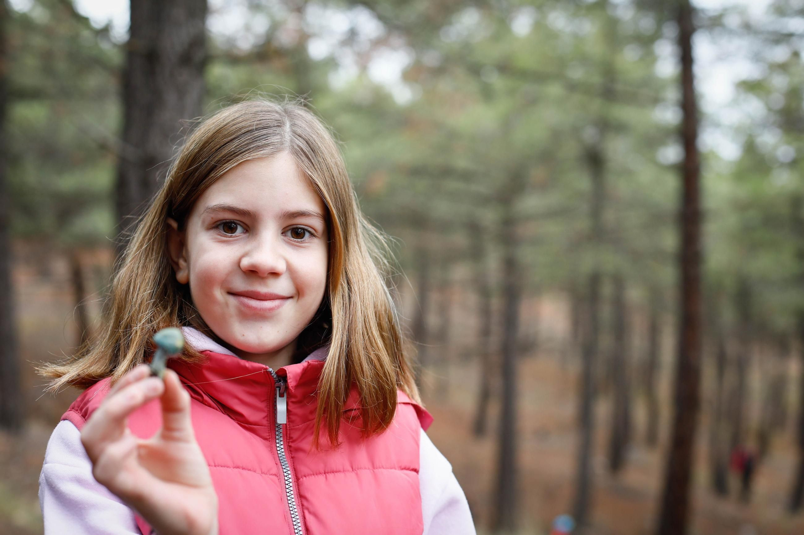 La ruta recolectora de setas en Abla por las XIX Jornadas Micológicas, en imágenes