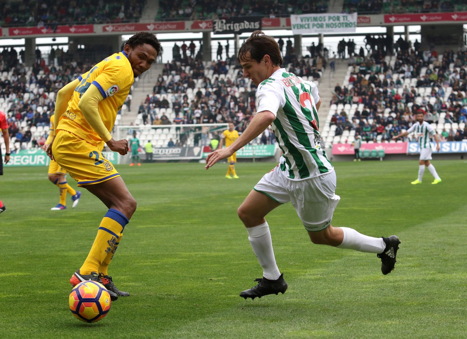 El Córdoba-Alcorcón, en imágenes