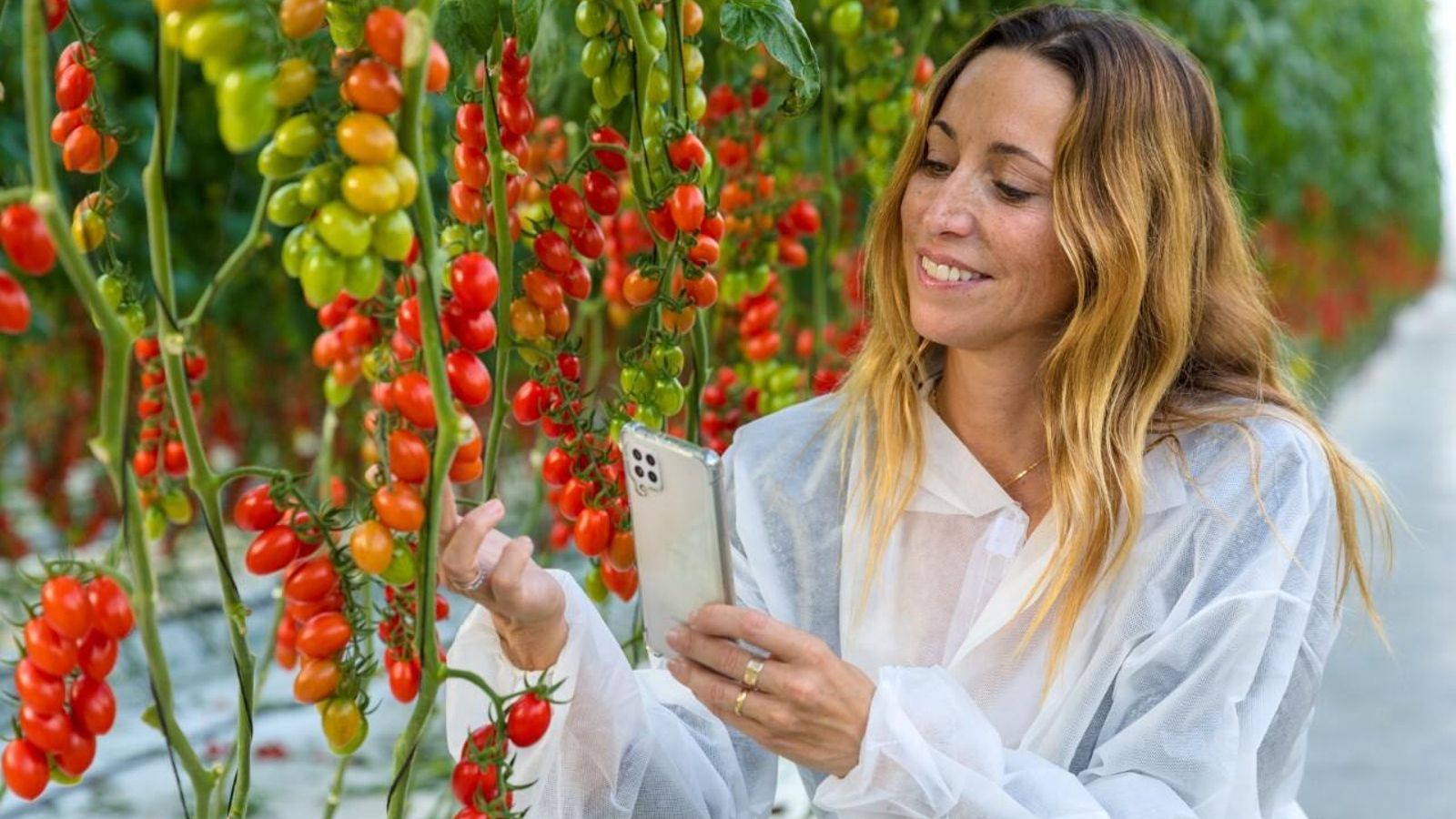 Gemma Mengual en un invernadero de tomate en la visita en Almería en el marco del programa CUTE