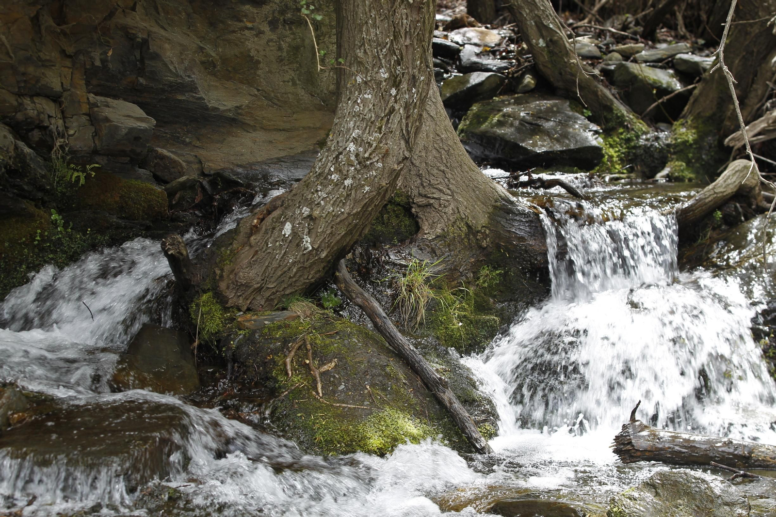 Naturaleza desconfinada. La Roza (Abrucena)
