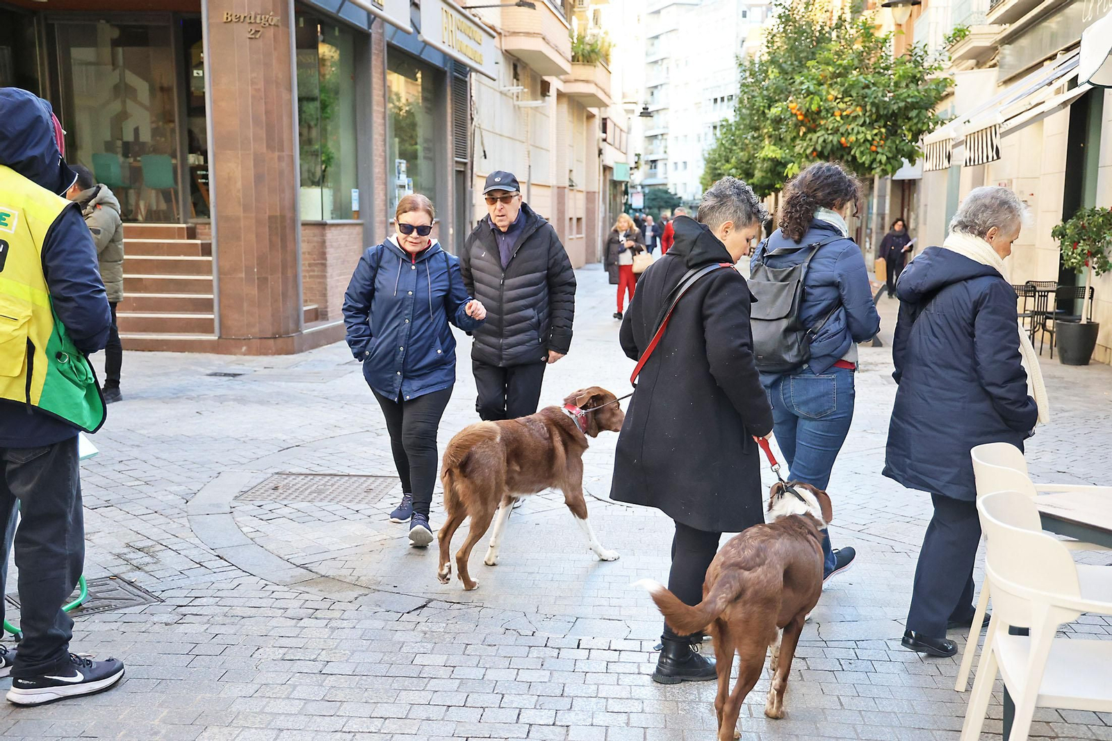 Las imágenes más destacadas del jueves 16 de enero en Huelva