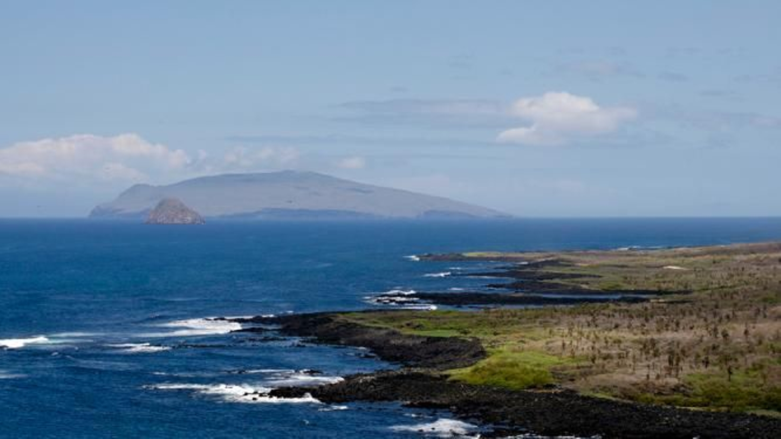 Imagen de las Galápagos Imagen de las Galápagos
