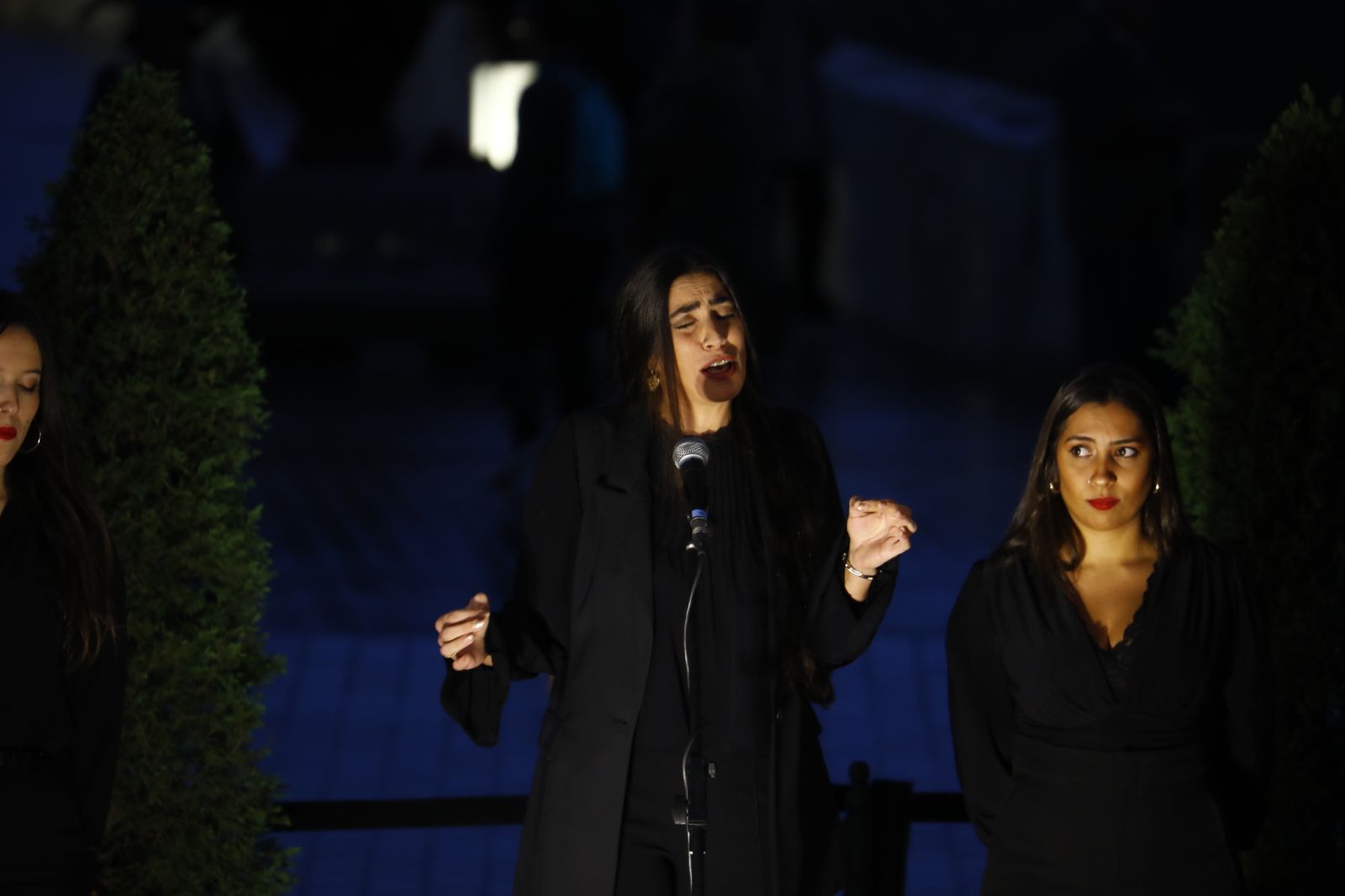 La celebración del Día Internacional del Flamenco en Córdoba, en imágenes