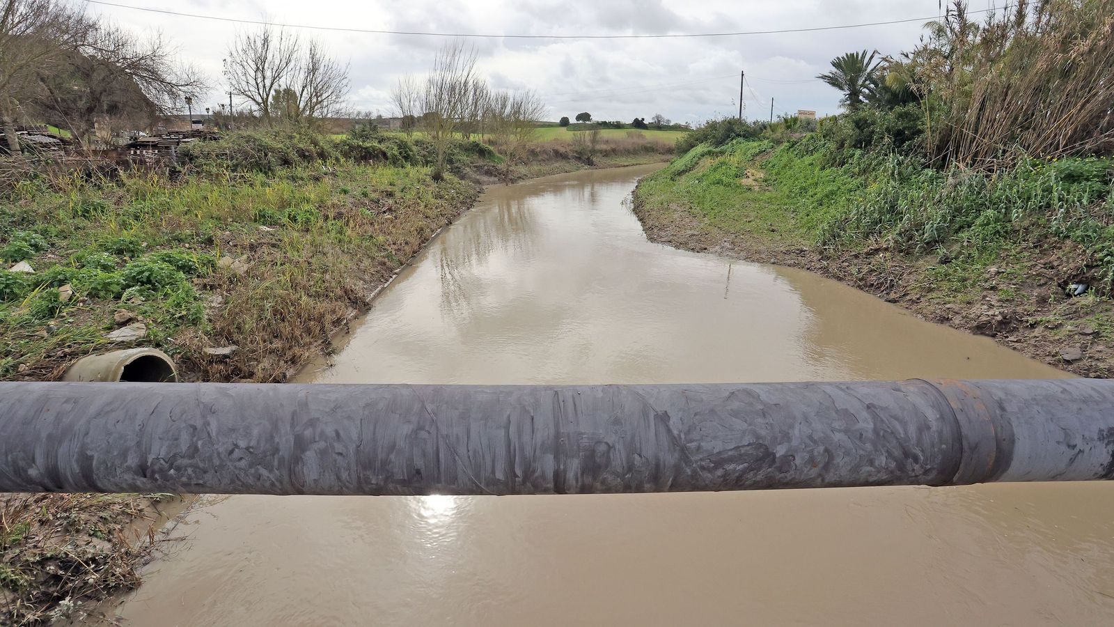 El Guadalete comienza a bajar su nivel poco a poco por la zona rural de Jerez