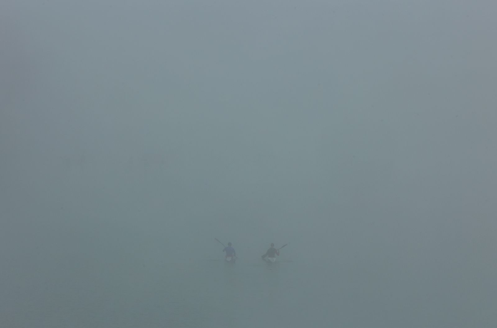 Las mejores imágenes de la niebla que cubría  Sevilla de nuevo