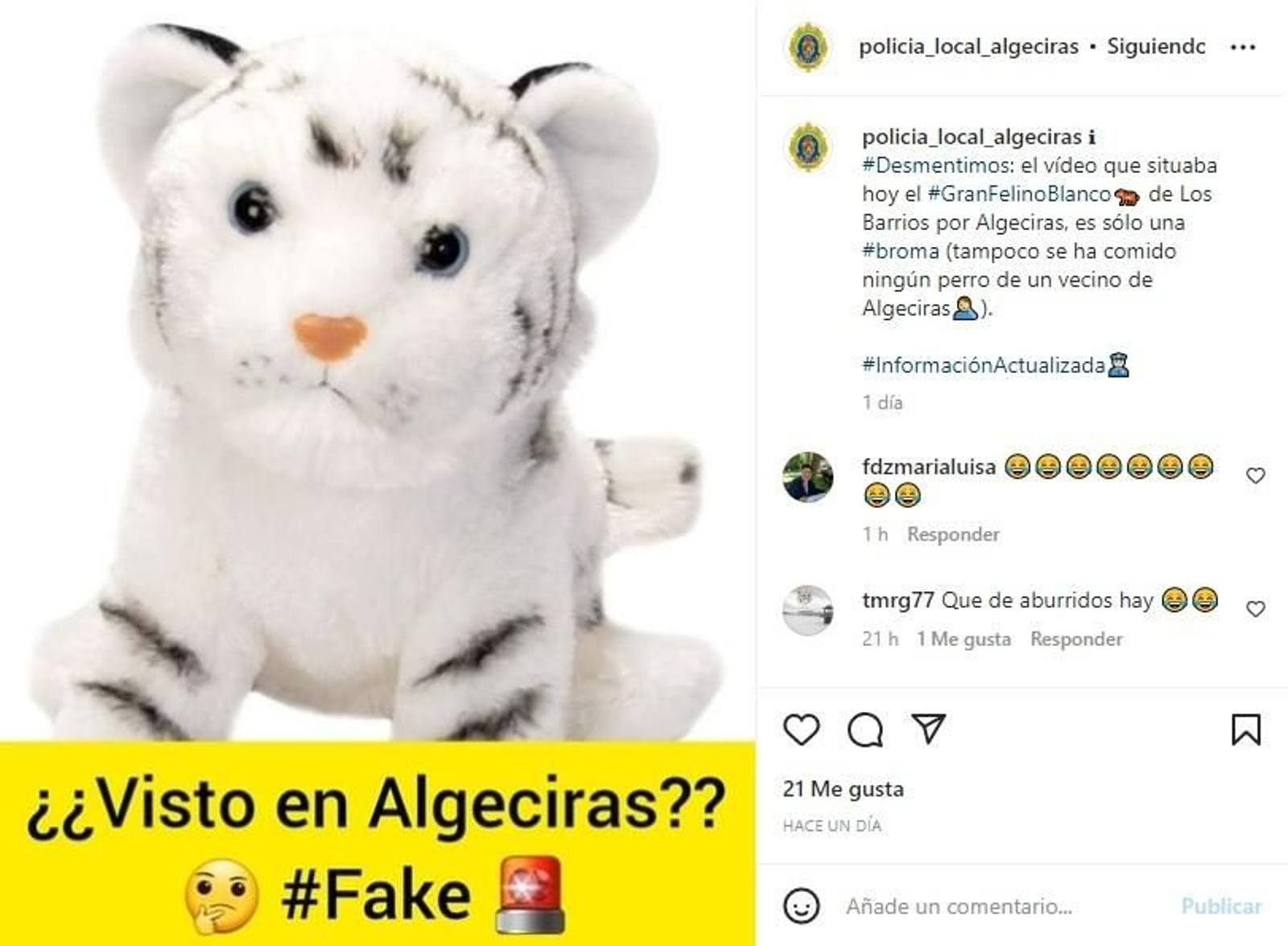 Publicación en la cuenta de Instagram de la Policía Local de Algeciras.