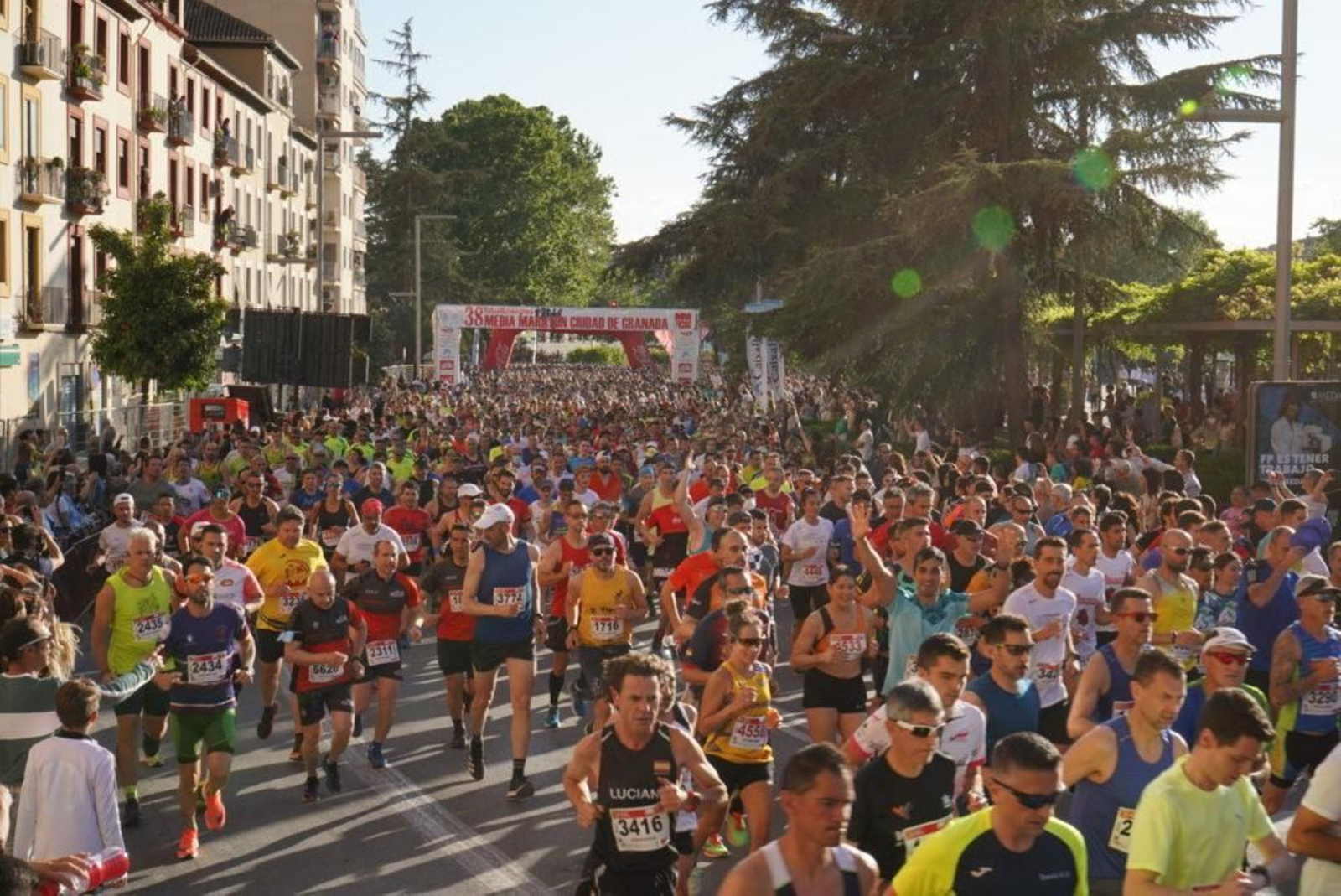 Imagenes de la Media Maratón de la pasada edición.