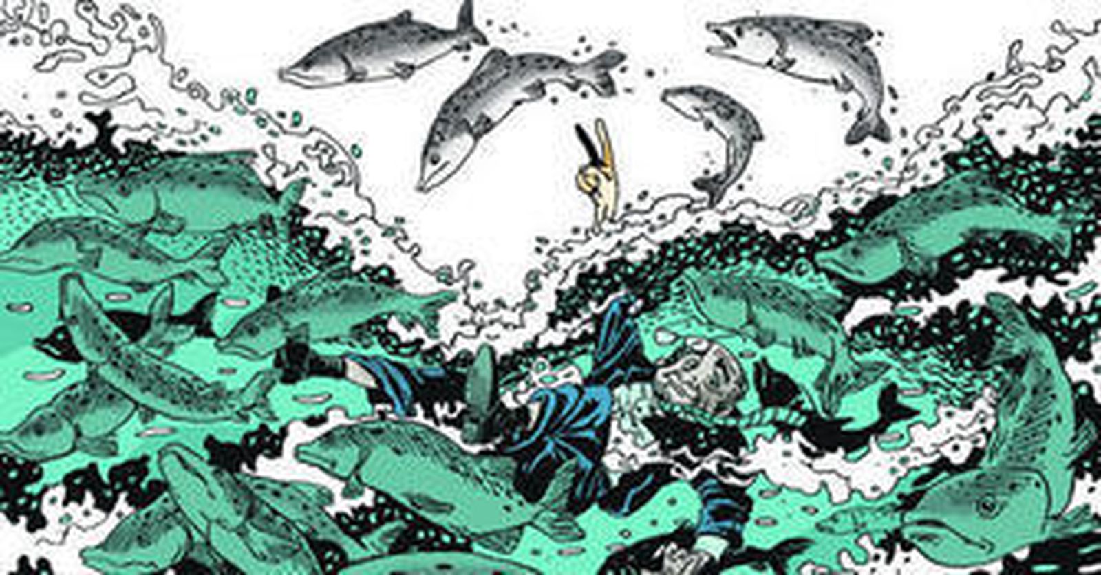 La pesca del salmón en el Guadalmedina