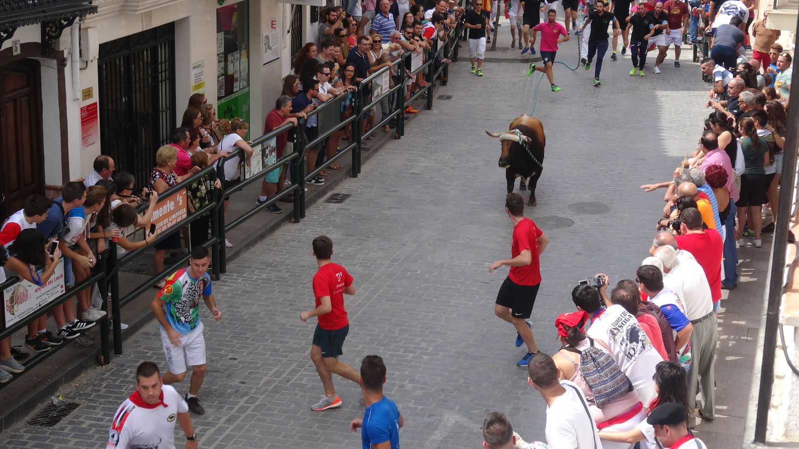 El toro de cuerda, a su paso por la calle Santa Ana.