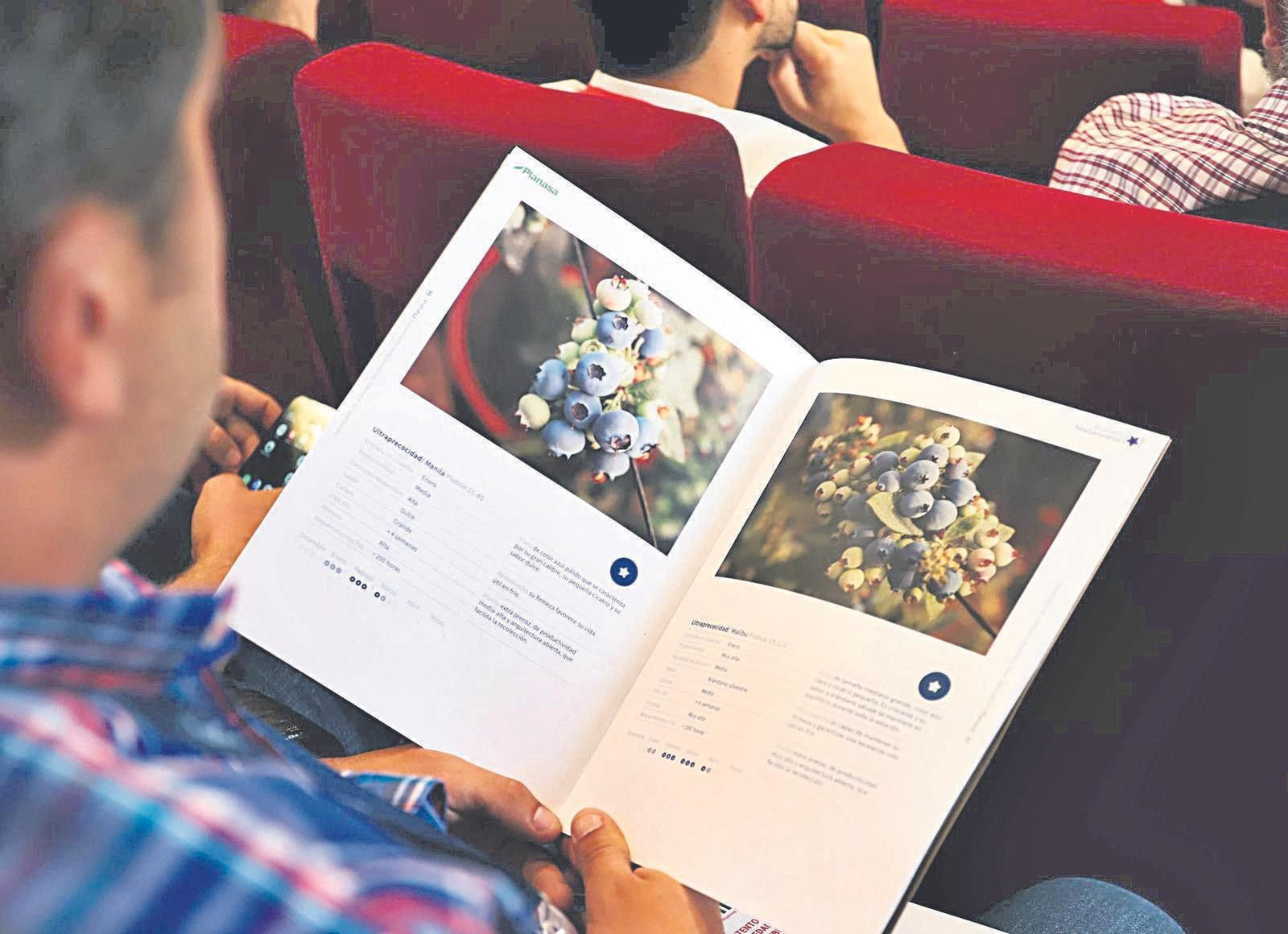 El Congreso de Frutos Rojos de Huelva se ha convertido ya en imprescindible en el calendario de eventos del sector agrícola.