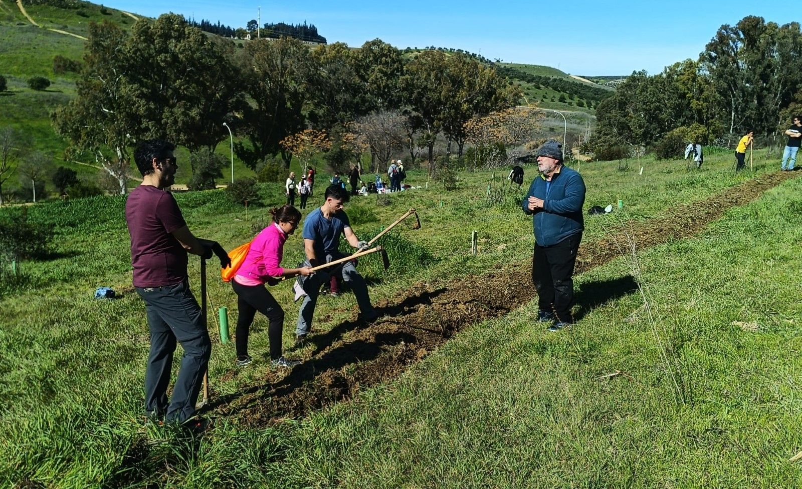 Actuaciones de Amigos de la Cornisa Este en la ladera de Camas