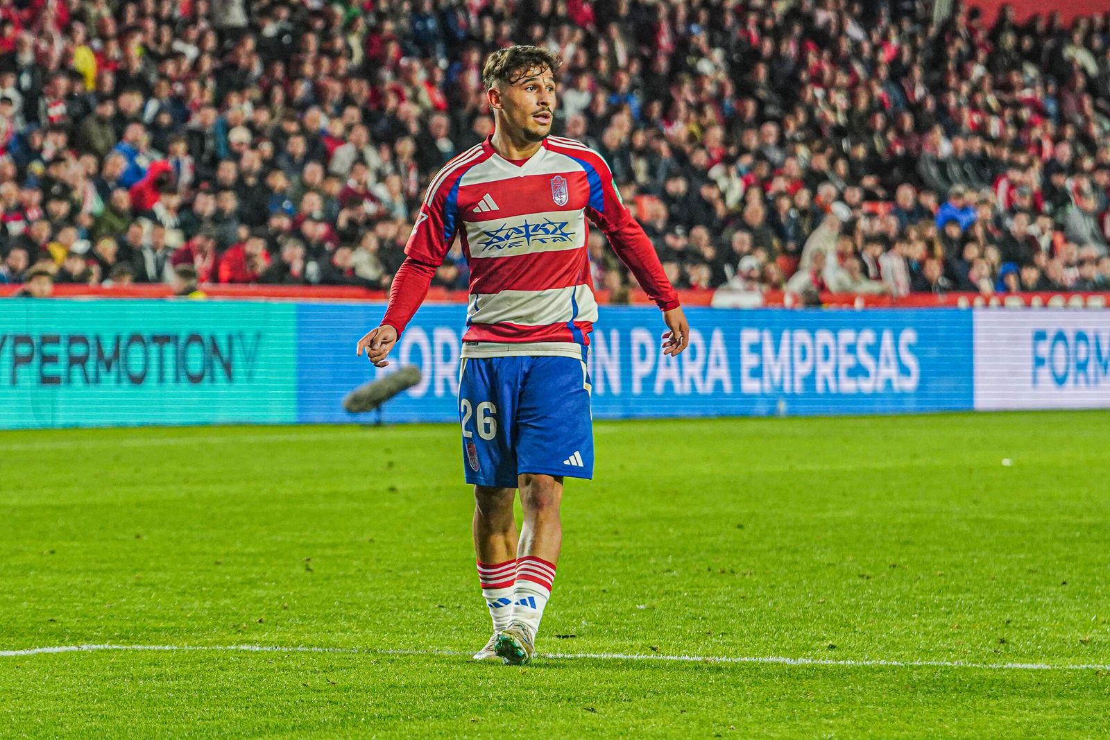 Un partido del Granada en casa