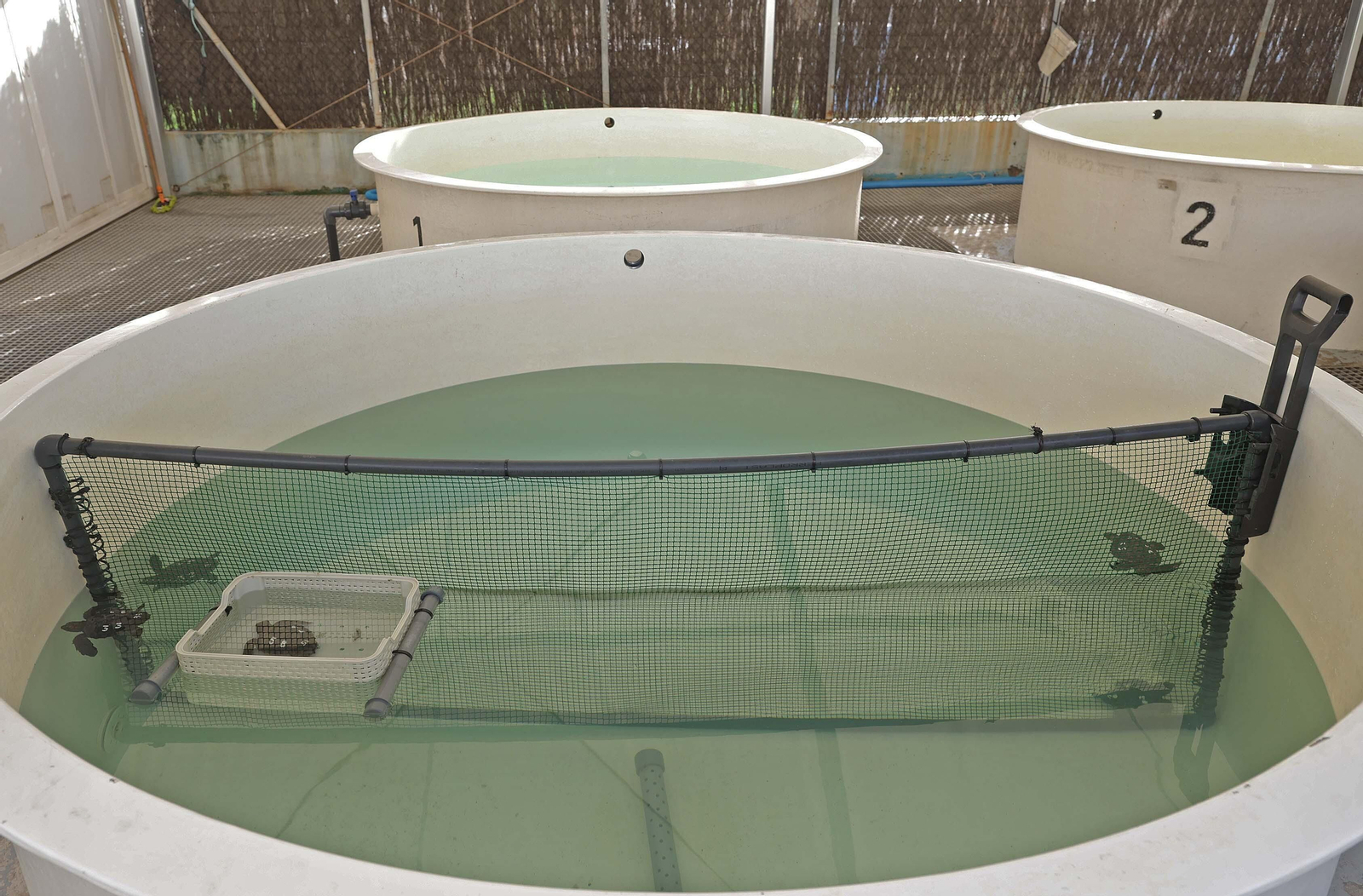 El Centro de Gestión del Medio Marino Andaluz (CEGMA) de Algeciras, en imágenes