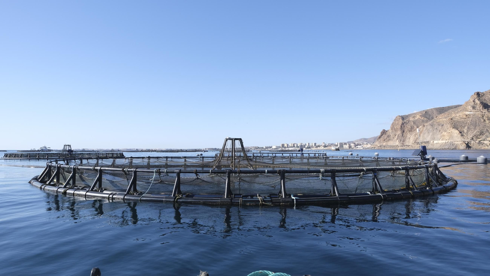 La piscifactoría de El Cañarete, en imágenes