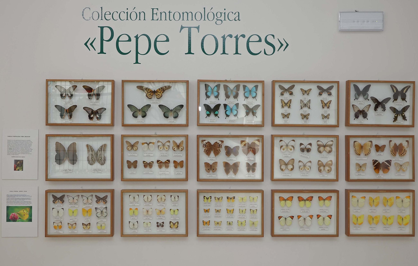 Fotos del Museo Cruz Herrera de La Línea