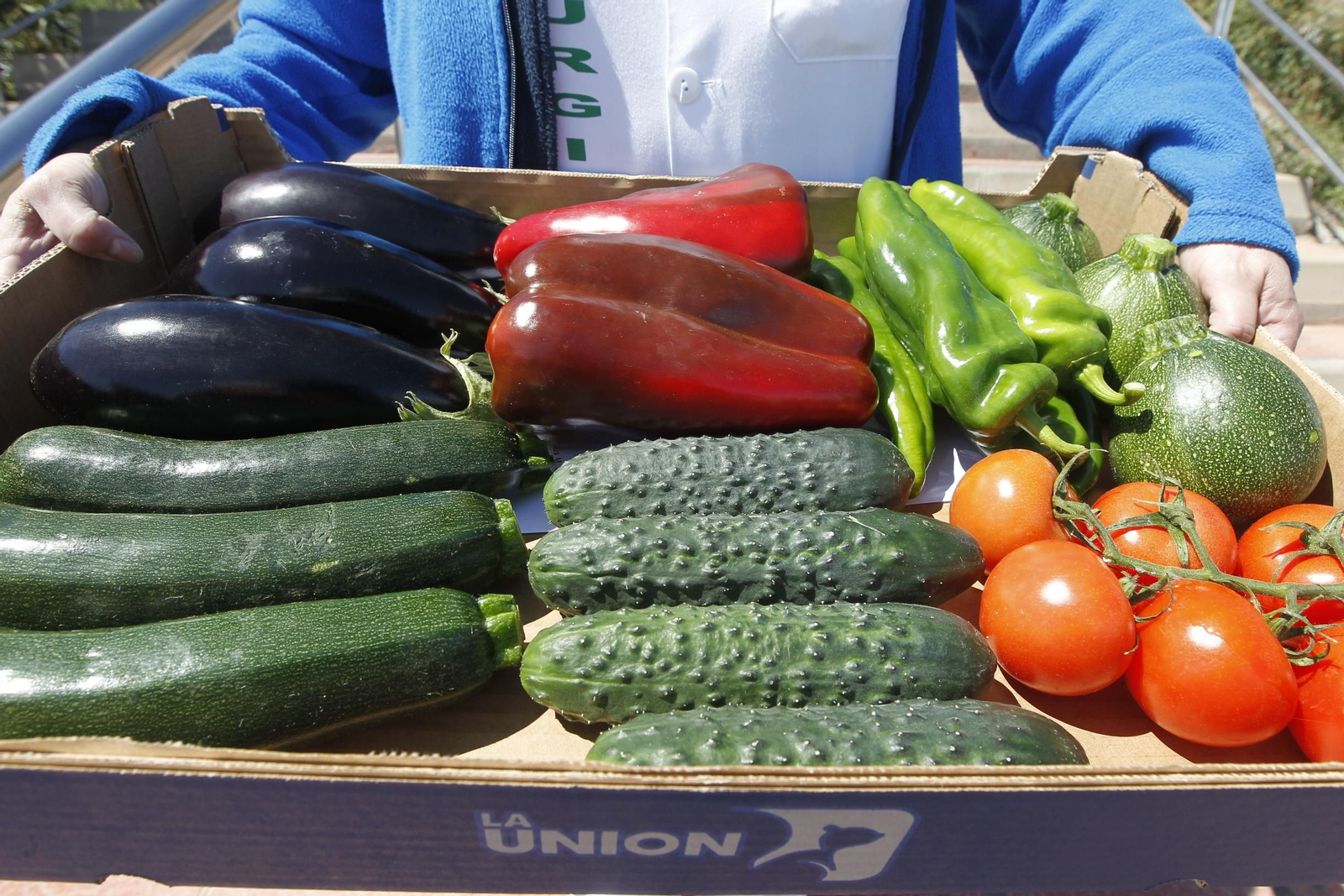 Fotogalería Coronavirus Almería-COVID-19