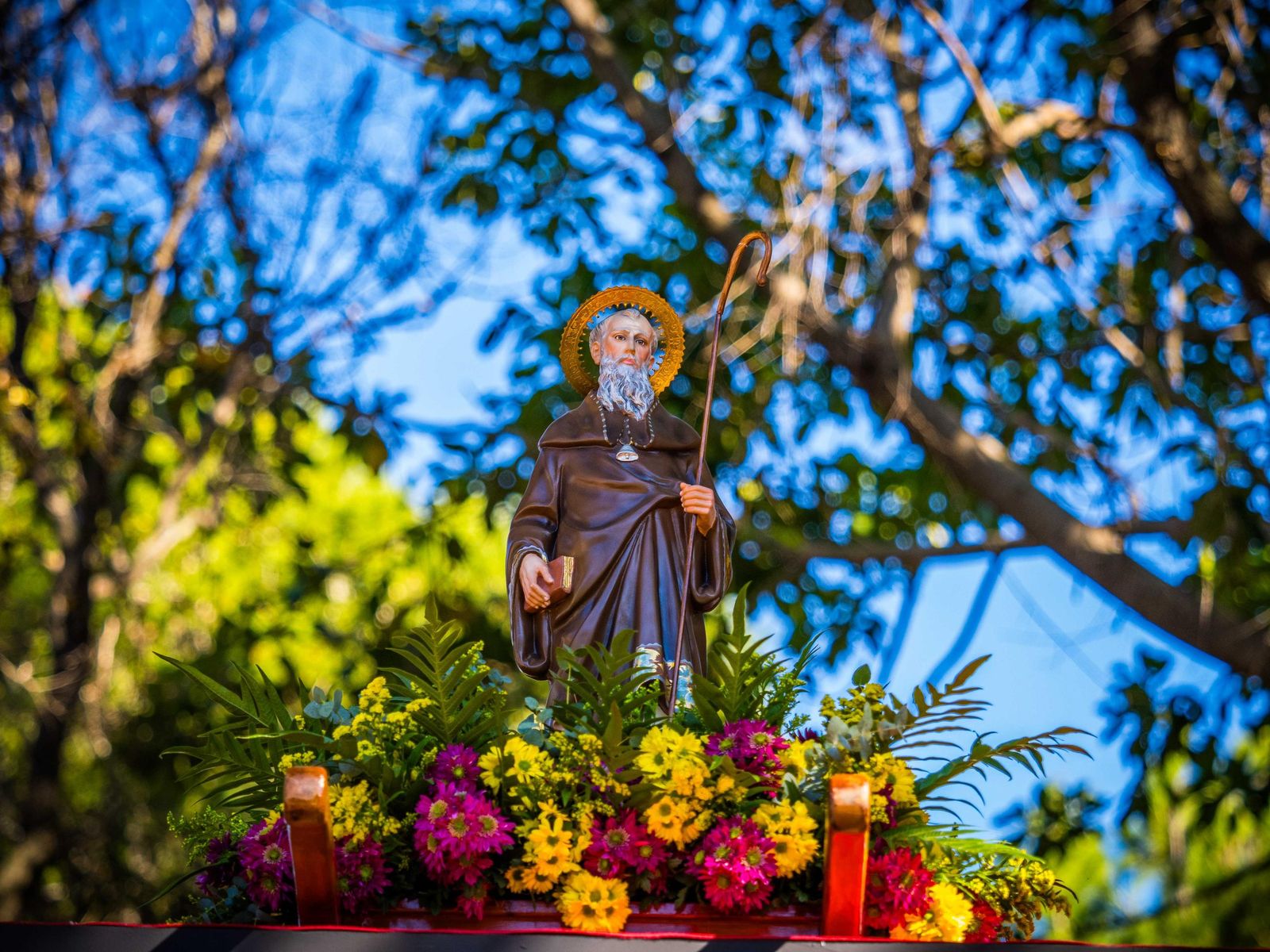 Las imágenes de San Antón 2025 en San Fernando