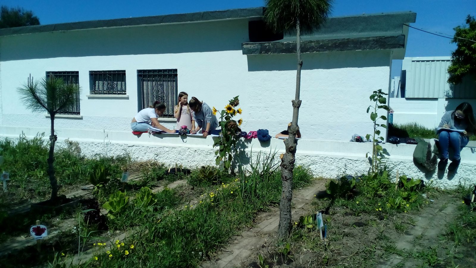 Imagen del huerto ecológico del centro, con varias alumnas trabajando en él, antes del suceso.
