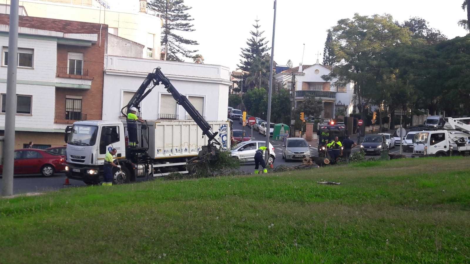 Un árbol se desploma en la rotonda de Juan Ramón Jiménez.