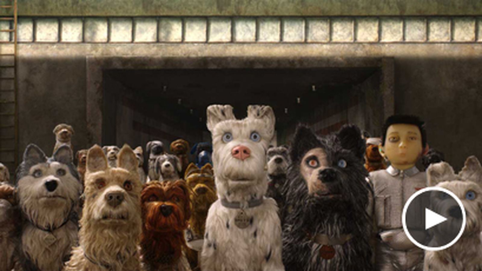 Una imagen de 'Isla de perros'.