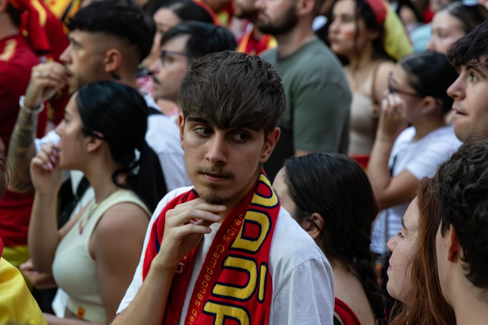 La euforia jiennense por la victoria de España, imágenes