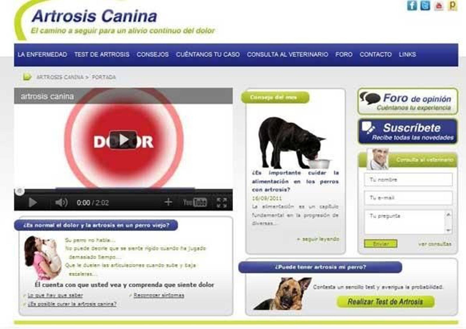 Pfizer Salud Animal crea una web para propietarios de perros con artrosis Pfizer Salud Animal crea una web para propietarios de perros con artrosis