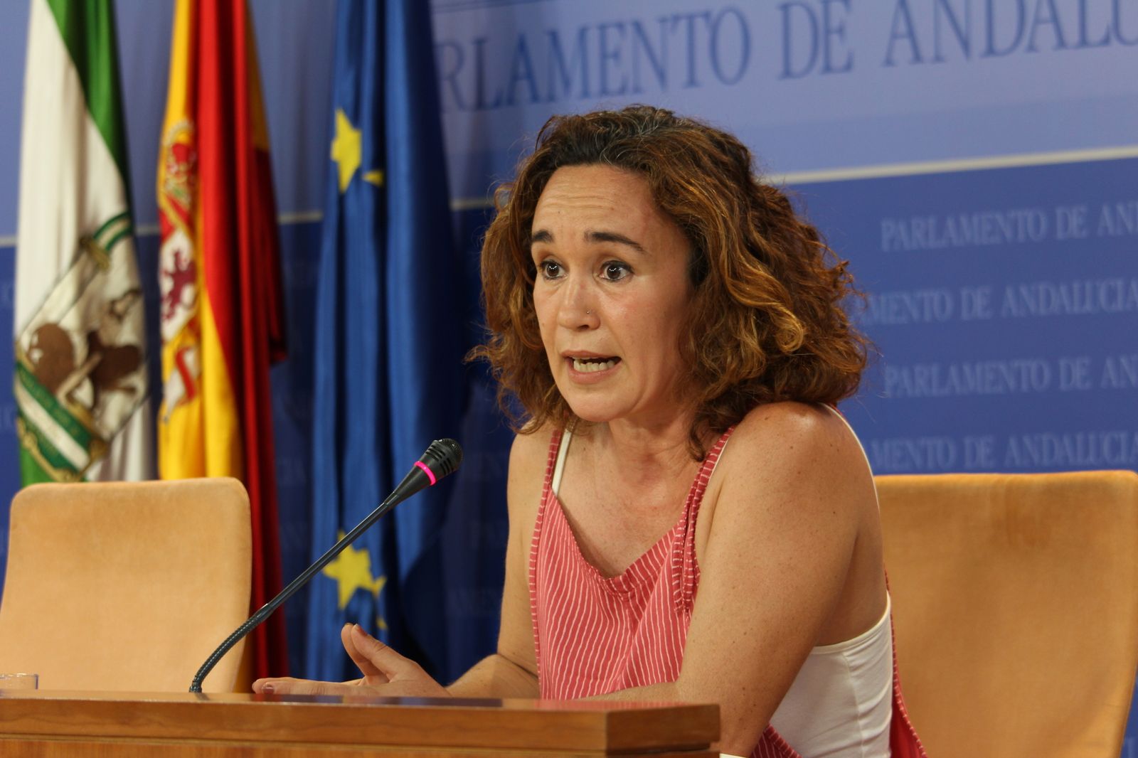 La parlamentaria andaluza de Unidas Podemos Ana Naranjo.
