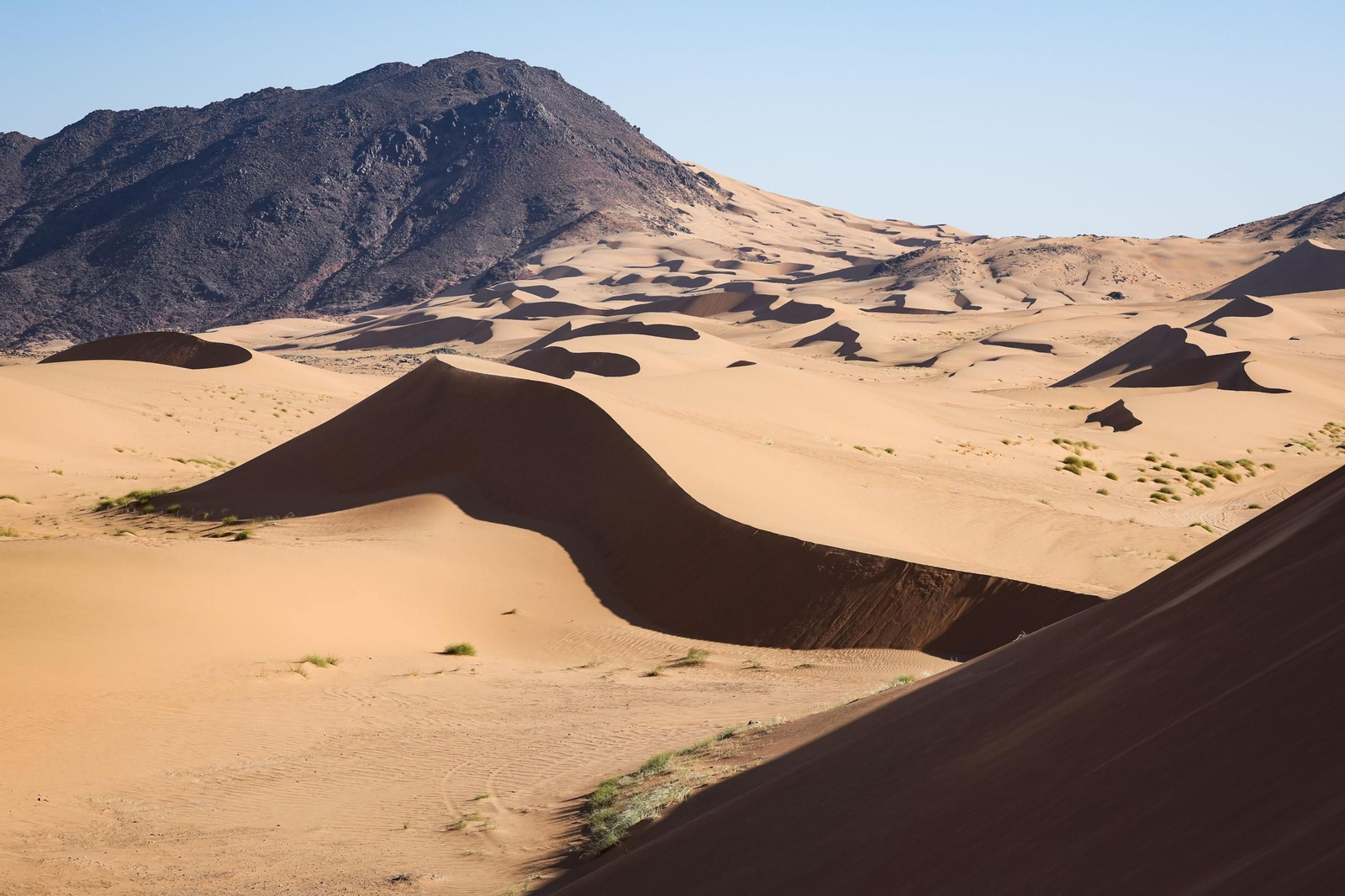 Las mejores fotos del Rally Dakar | Segunda jornada