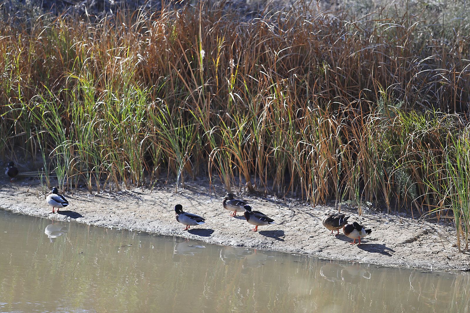 Las imágenes más destacadas del miércoles 27 de septiembre en Huelva