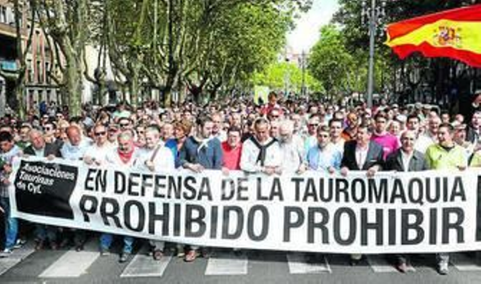 Manifestación a favor de la Fiesta por las calles de Valladolid.