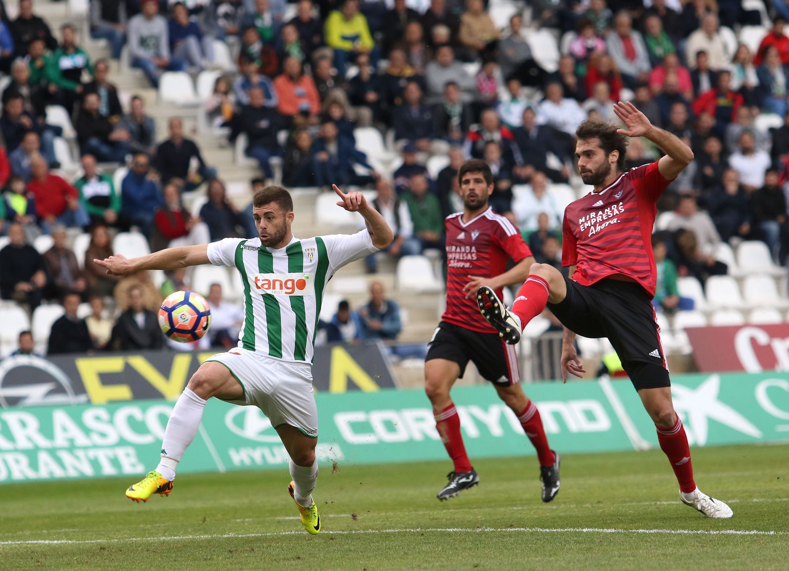 El Córdoba-Mirandés, en imágenes