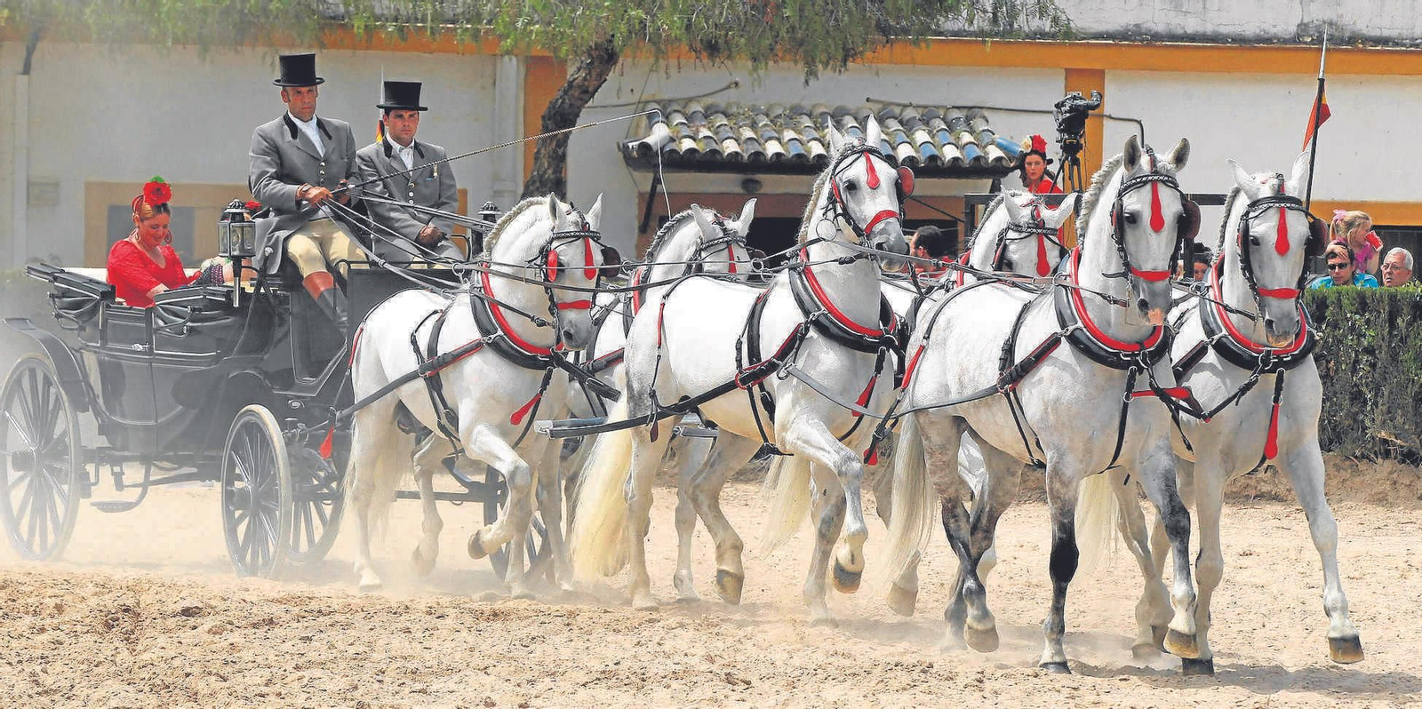 Los enganches en el Depósito de sementales, durante la Feria ecuestre.