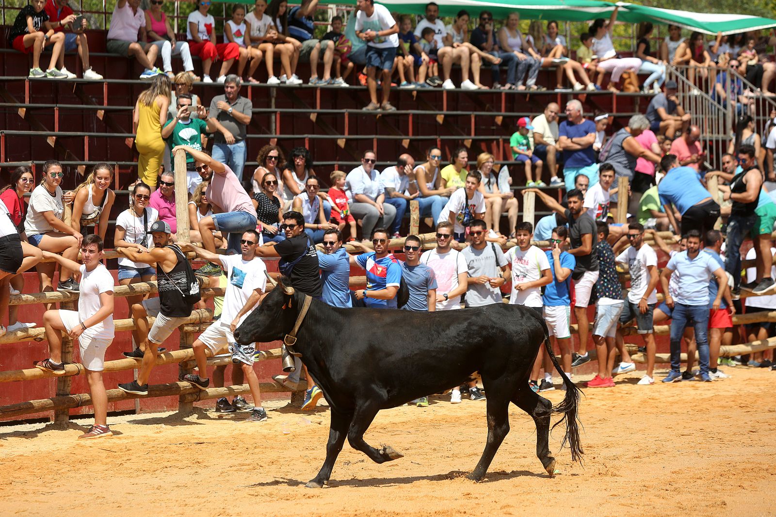 Capeas de Trigueros en imágenes