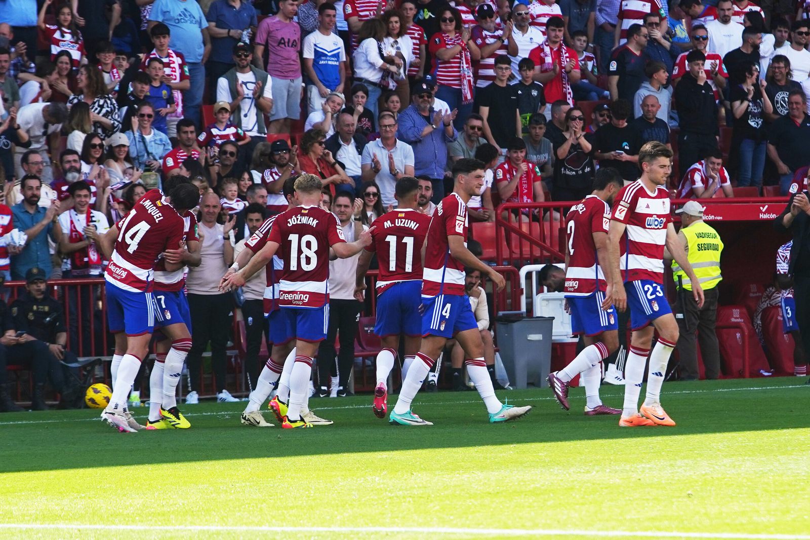 Jugadores del Granada celebran un gol ante el Alavés