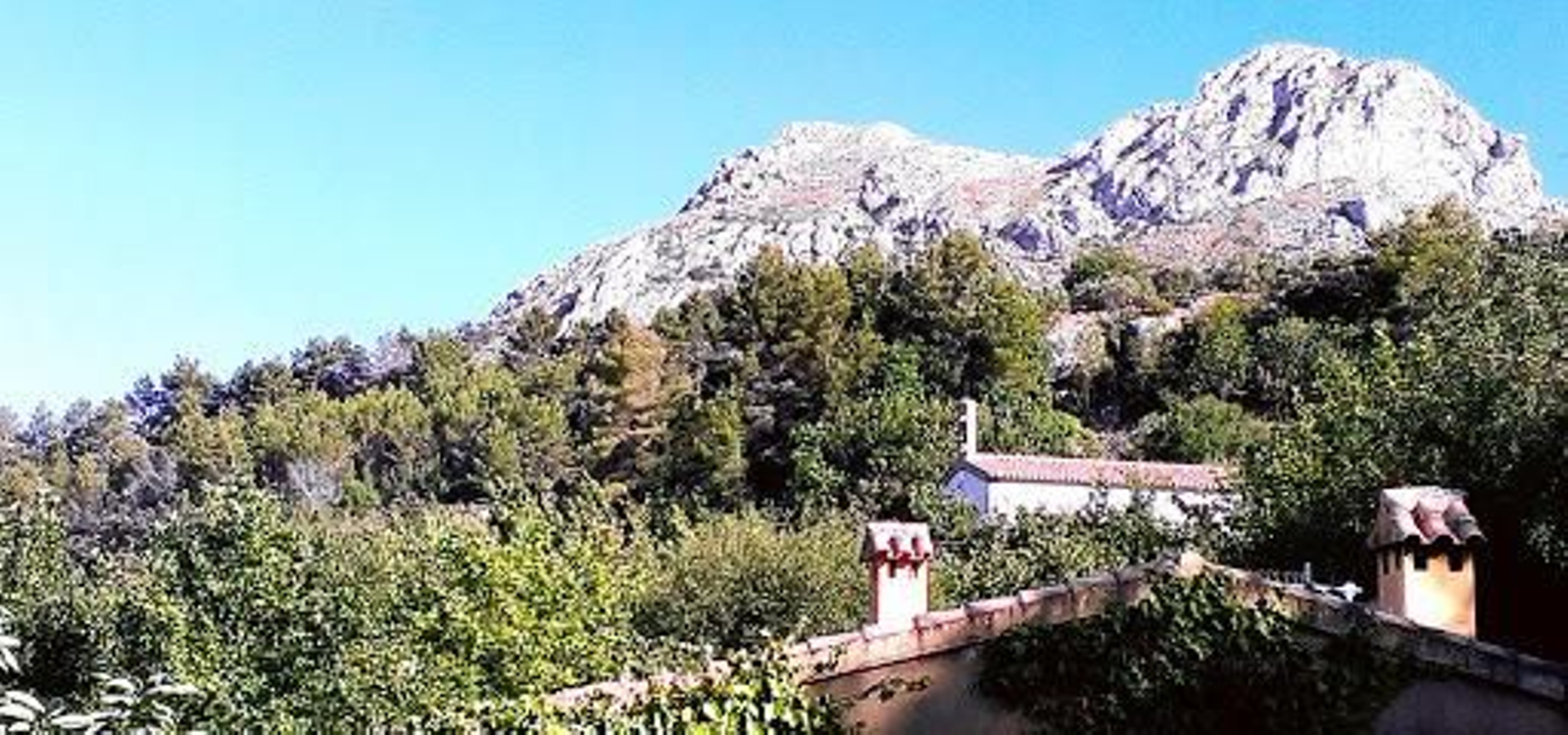 Cavall Verd de la Vall de Laguar