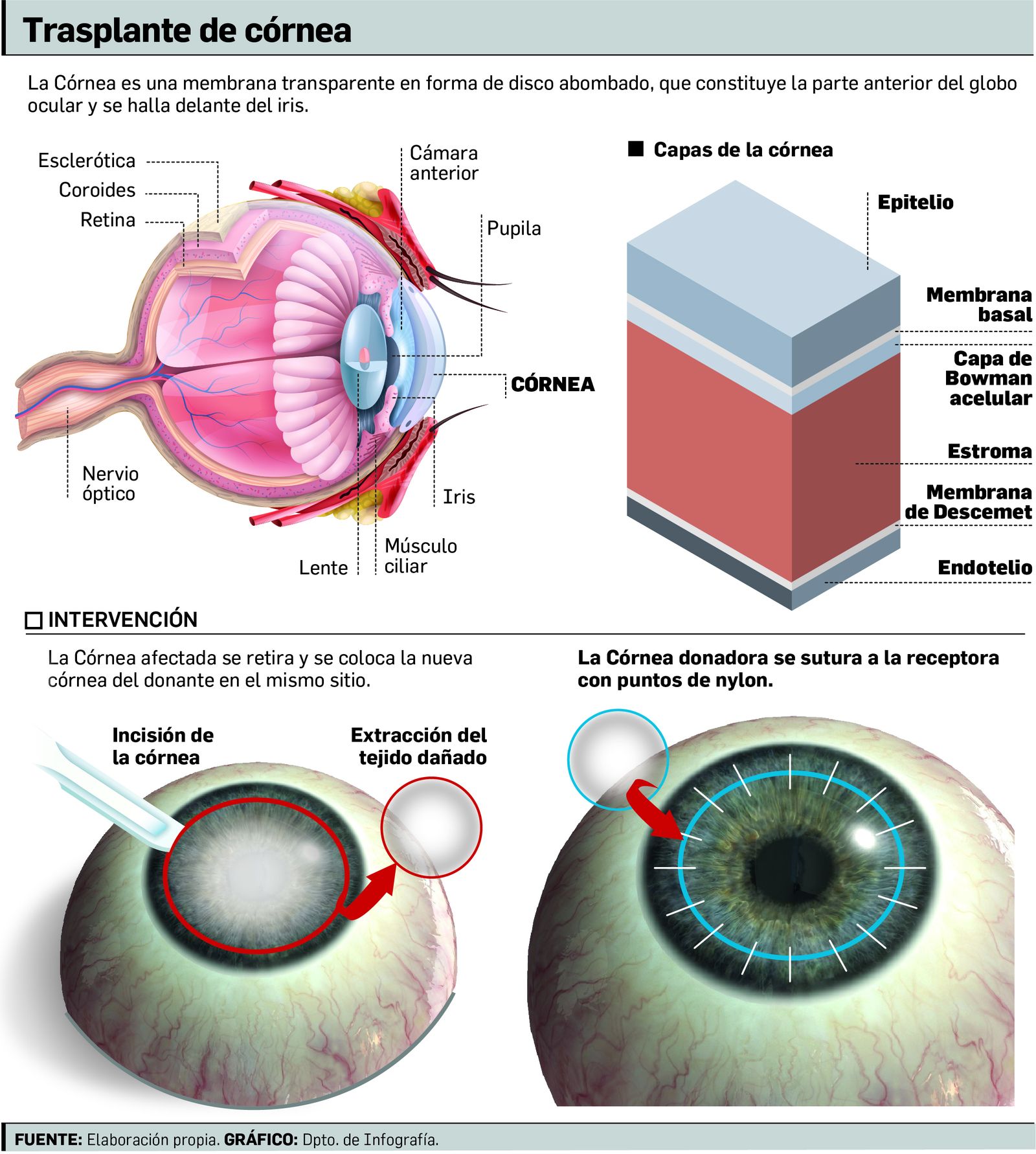 Fuente: Elaboración propia. Gráfico: Dpto. de Infografía