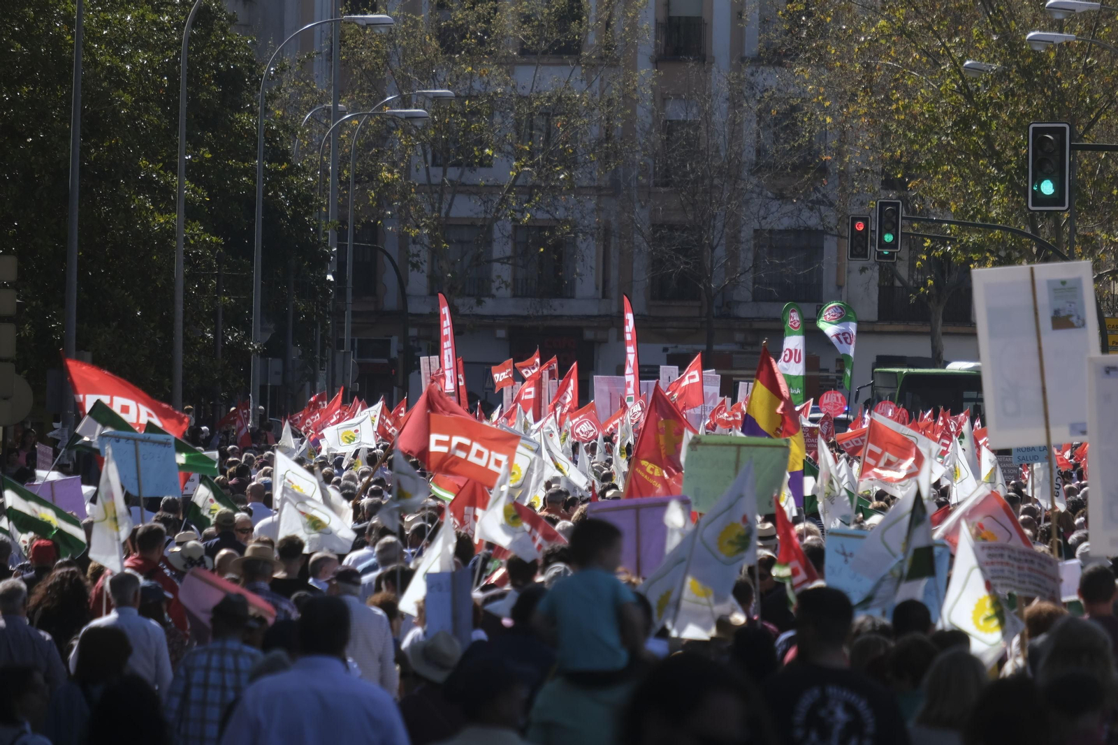 La manifestación en Córdoba por la sanidad pública y contra su privatización, en imágenes