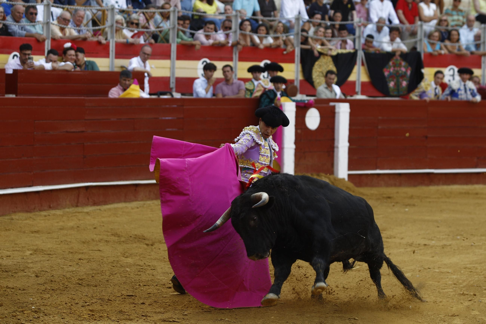 Imágenes de la novillada de la Feria de Almería 2025