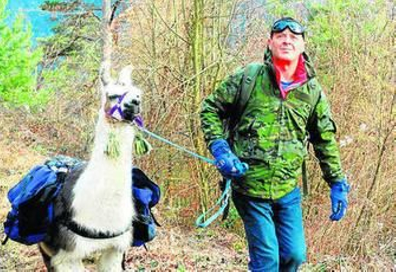 El aventurero Luis Manuel Bejarano atraviesa los Alpes con una llama
